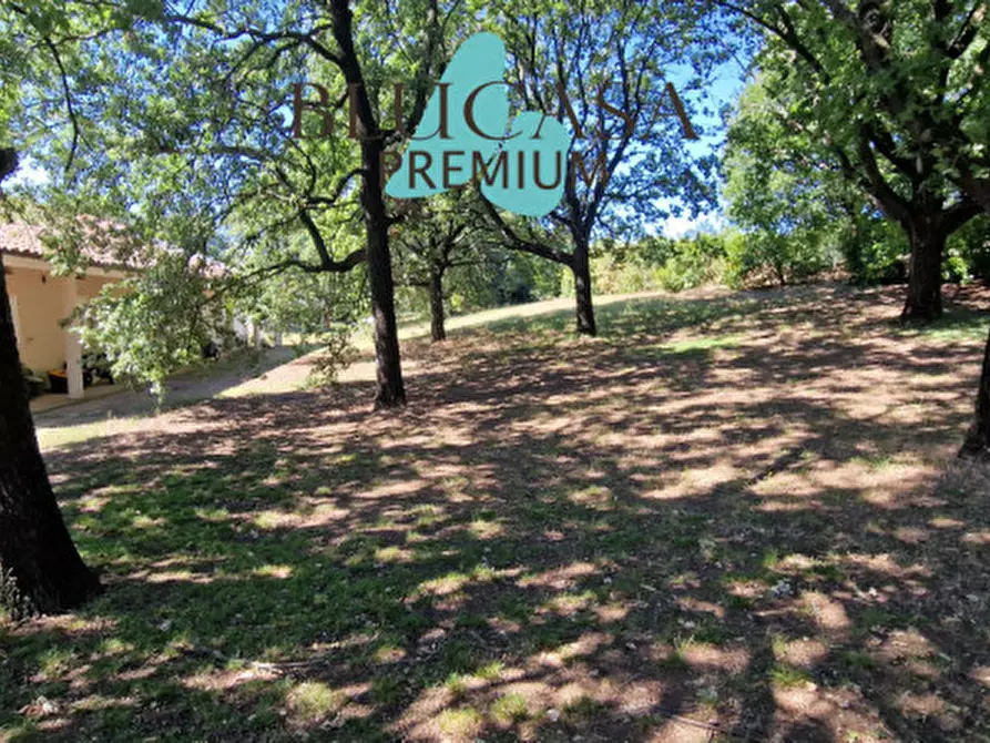 Immagine 48 di Casa bifamiliare in vendita  in via casone a Castrocaro Terme E Terra Del Sole