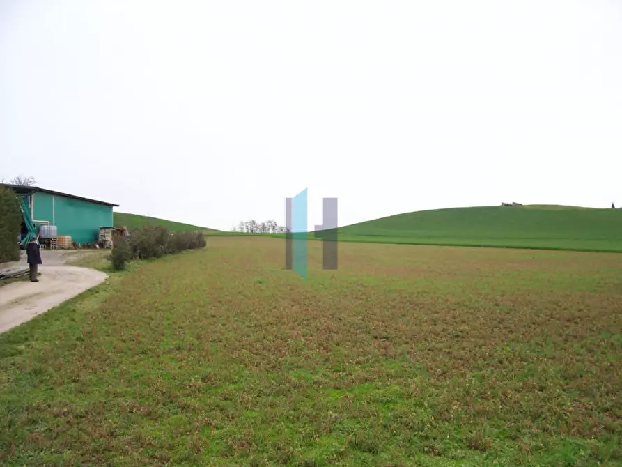 Immagine 3 di Terreno in vendita  a Lonato del Garda