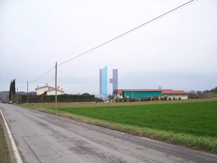 Immagine 5 di Terreno in vendita  a Lonato del Garda