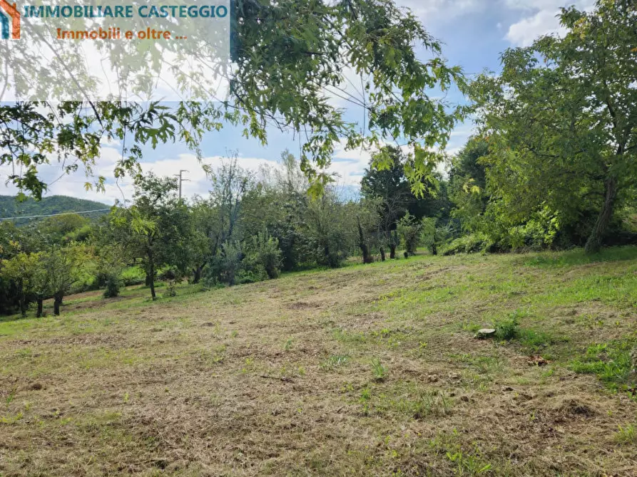 Immagine 36 di Casa indipendente in vendita  in Via Roma a Borgoratto Mormorolo