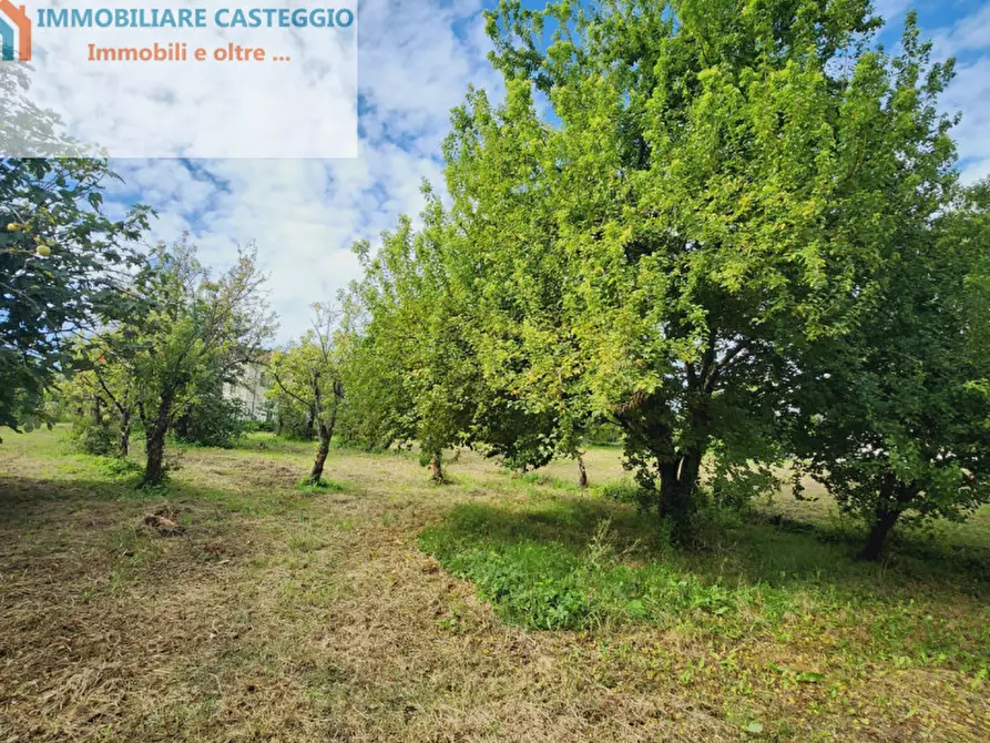 Immagine 39 di Casa indipendente in vendita  in Via Roma a Borgoratto Mormorolo