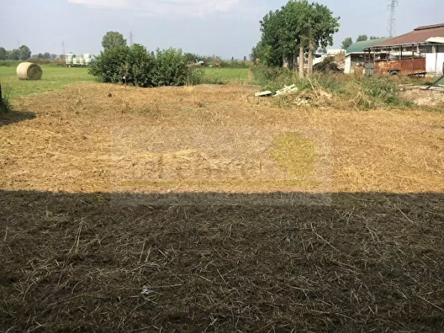 Immagine 4 di Rustico / casale in vendita  in Casaloldo a Casaloldo