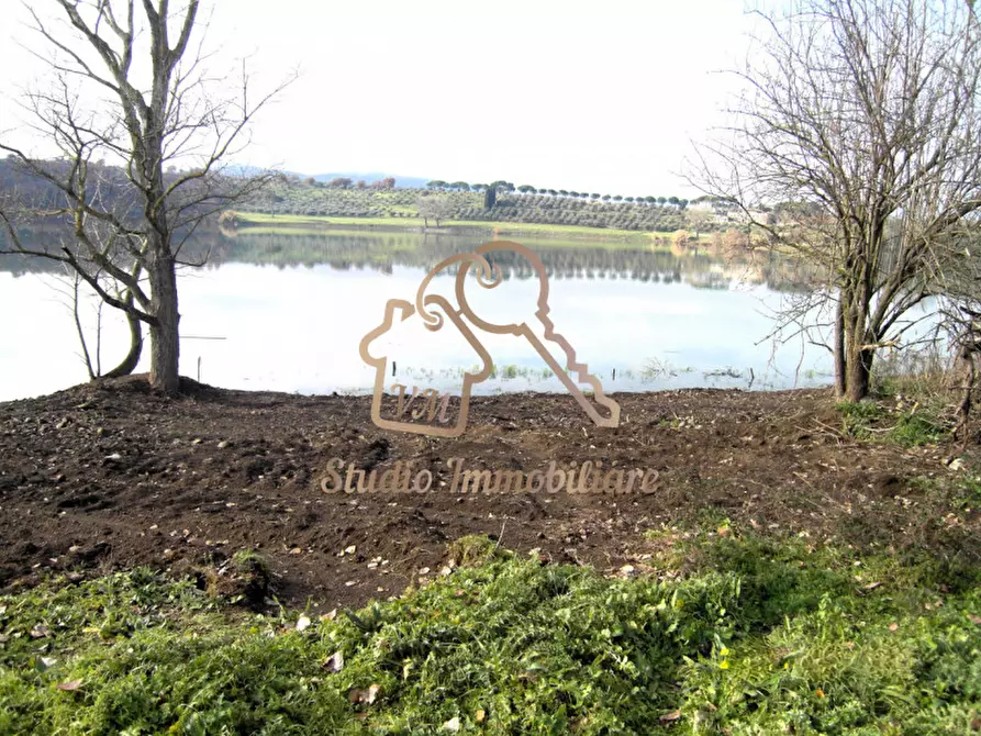 Immagine 4 di Terreno in vendita  in Via Cassia a Monterosi