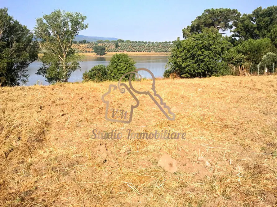 Immagine 5 di Terreno in vendita  in Via Cassia a Monterosi