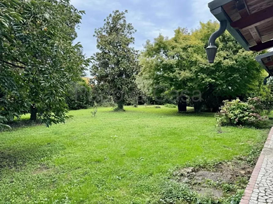 Immagine 3 di Rustico / casale in vendita  a Limena