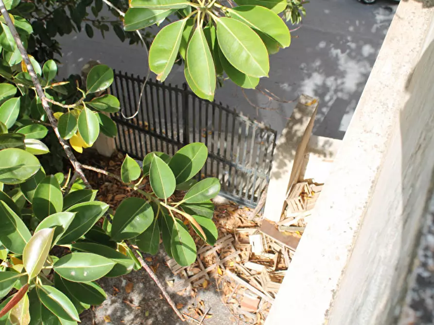 Immagine 21 di Villa in vendita  in via Tommaso Fazzello a Noto