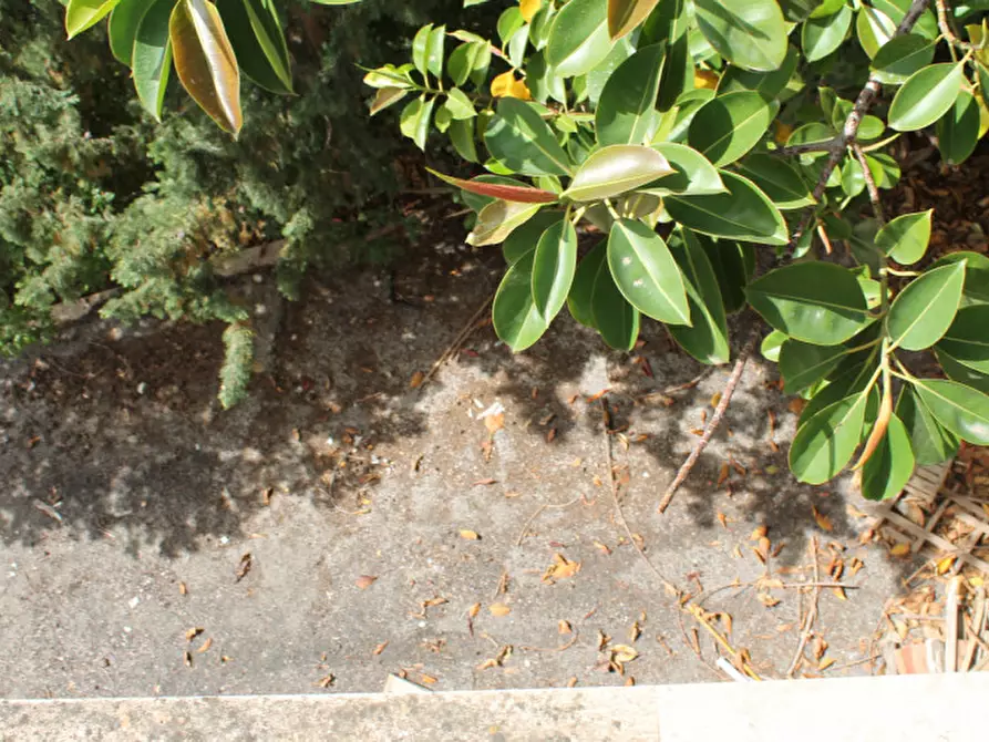 Immagine 22 di Villa in vendita  in via Tommaso Fazzello a Noto