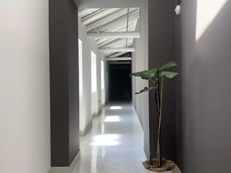 Immagine 29 di Appartamento in affitto  in via roma 2 a Trieste