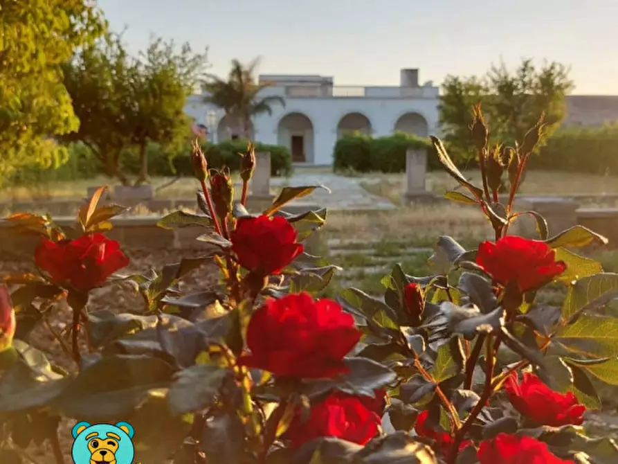 Immagine 2 di Villa in vendita  in strada comunale raho a Novoli