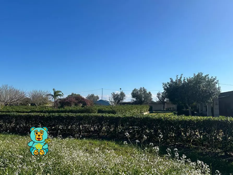 Immagine 10 di Villa in vendita  in strada comunale raho a Novoli