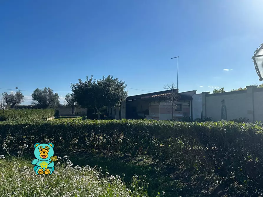 Immagine 11 di Villa in vendita  in strada comunale raho a Novoli