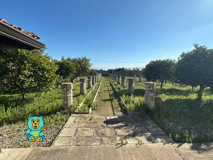 Immagine 26 di Villa in vendita  in strada comunale raho a Novoli