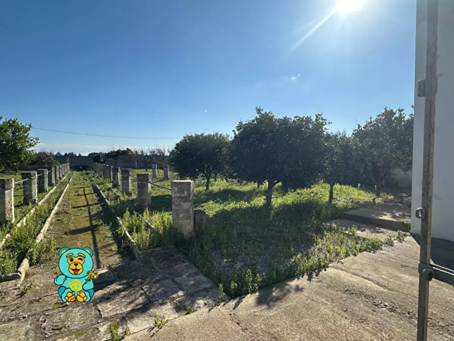 Immagine 30 di Villa in vendita  in strada comunale raho a Novoli