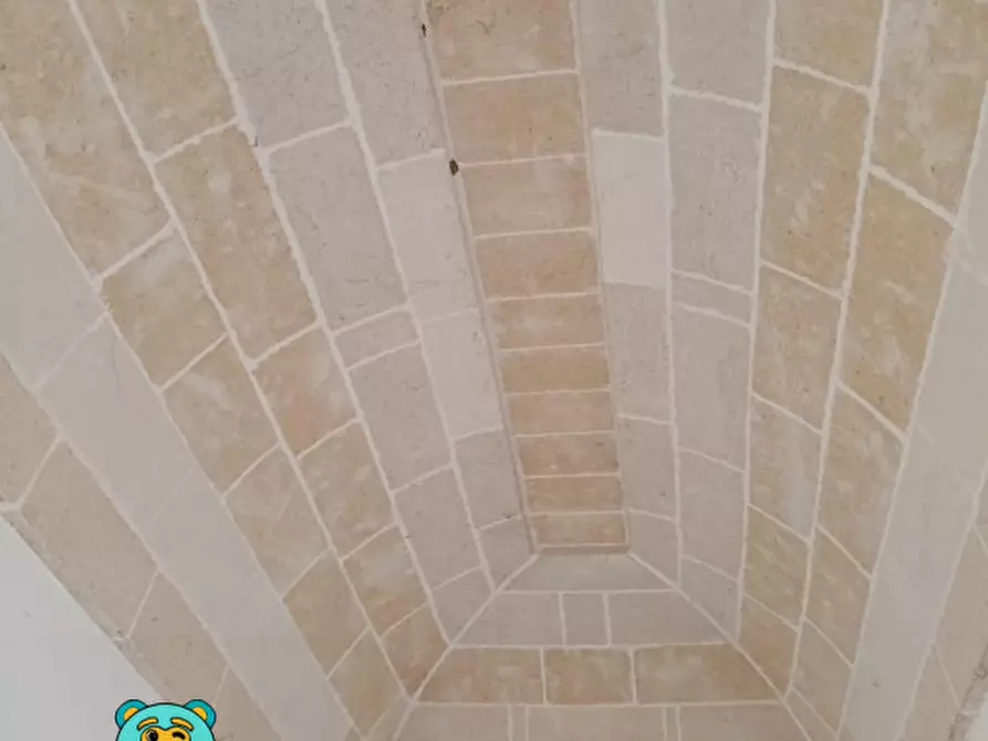 Immagine 40 di Villa in vendita  in strada comunale raho a Novoli