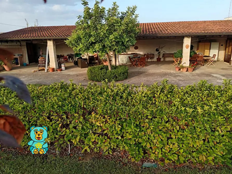 Immagine 50 di Villa in vendita  in strada comunale raho a Novoli