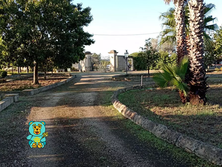 Immagine 53 di Villa in vendita  in strada comunale raho a Novoli