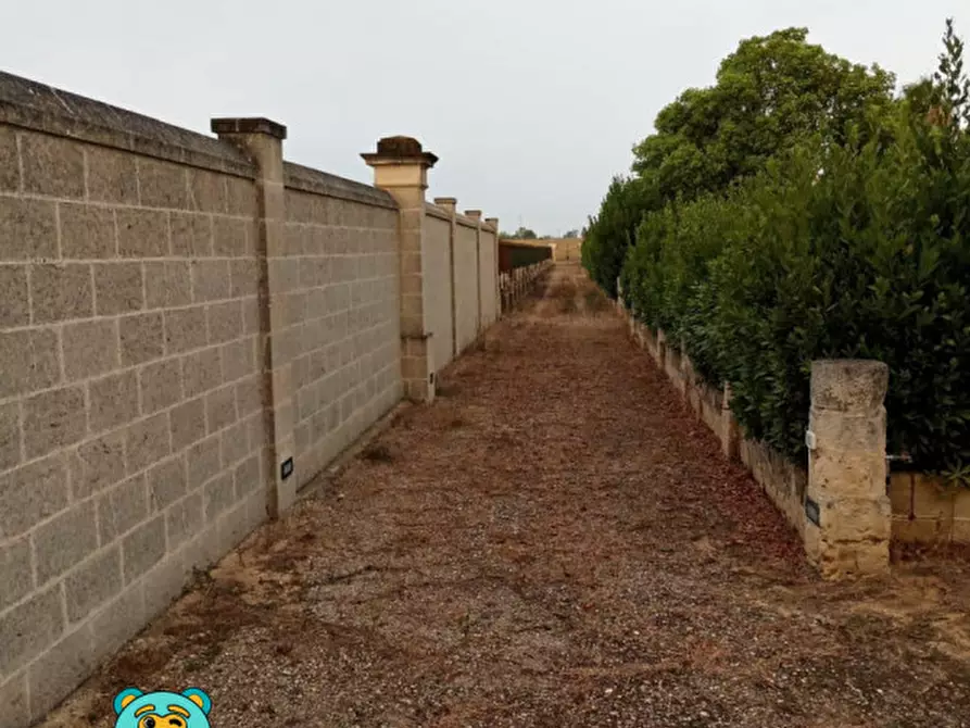 Immagine 54 di Villa in vendita  in strada comunale raho a Novoli