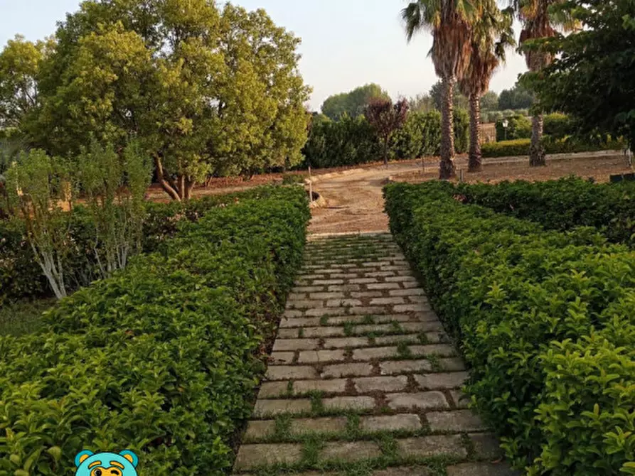 Immagine 55 di Villa in vendita  in strada comunale raho a Novoli