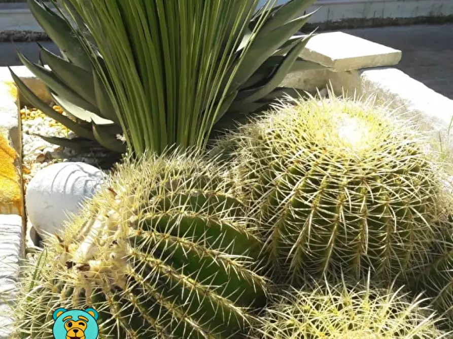 Immagine 57 di Villa in vendita  in strada comunale raho a Novoli