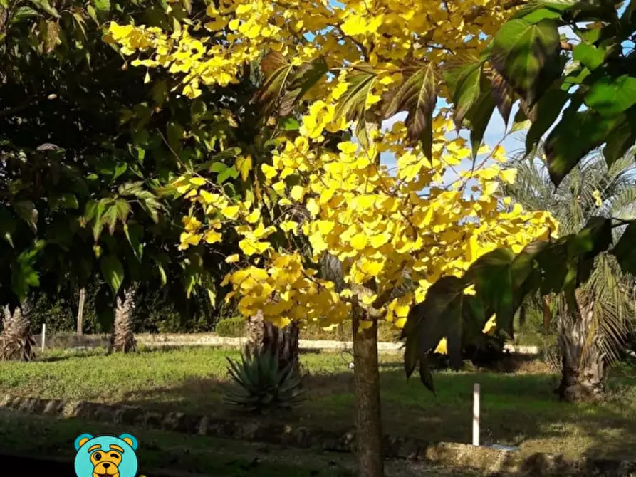 Immagine 58 di Villa in vendita  in strada comunale raho a Novoli