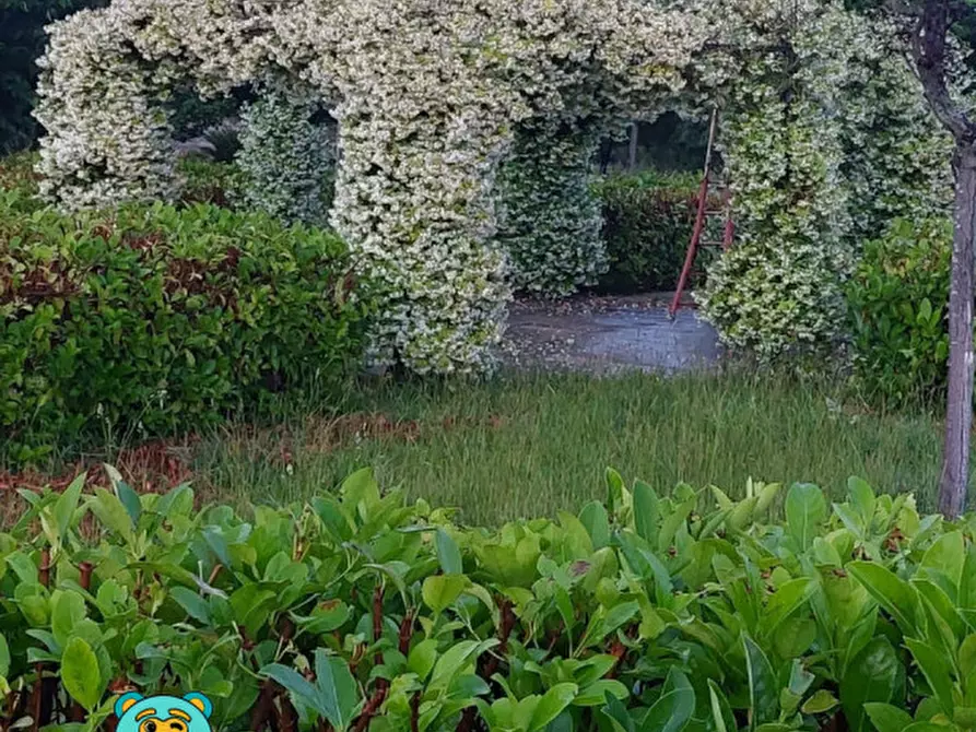 Immagine 59 di Villa in vendita  in strada comunale raho a Novoli