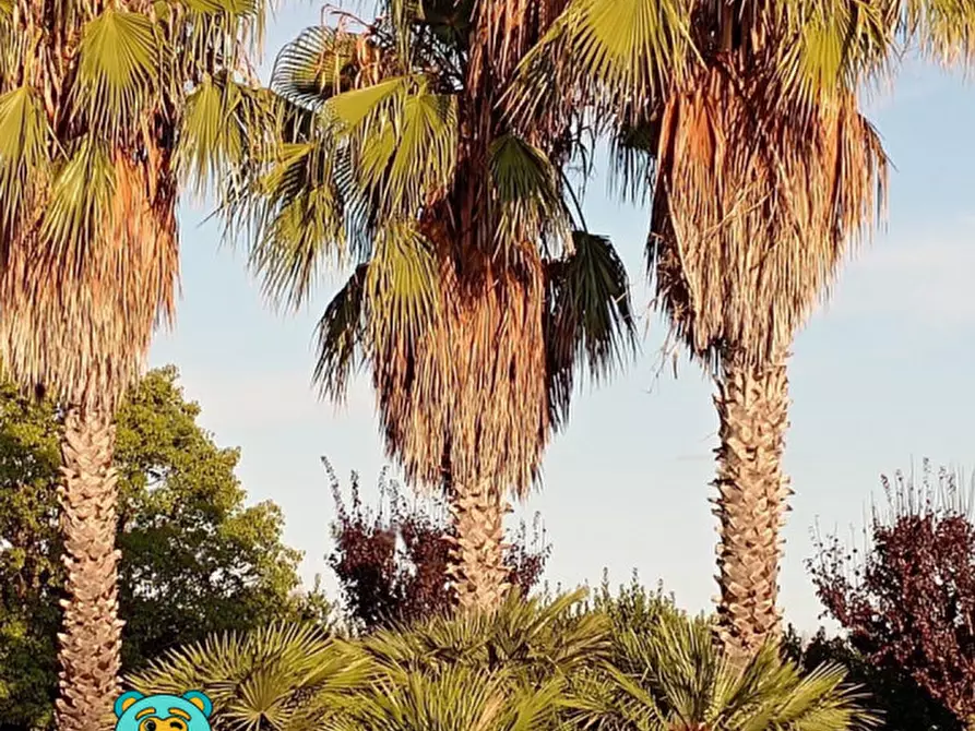 Immagine 60 di Villa in vendita  in strada comunale raho a Novoli