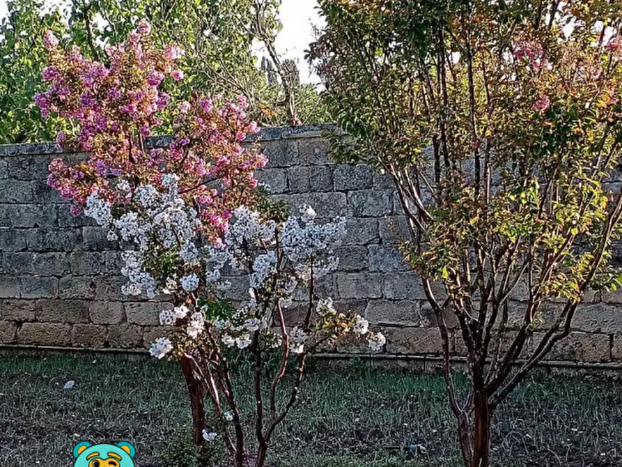 Immagine 61 di Villa in vendita  in strada comunale raho a Novoli