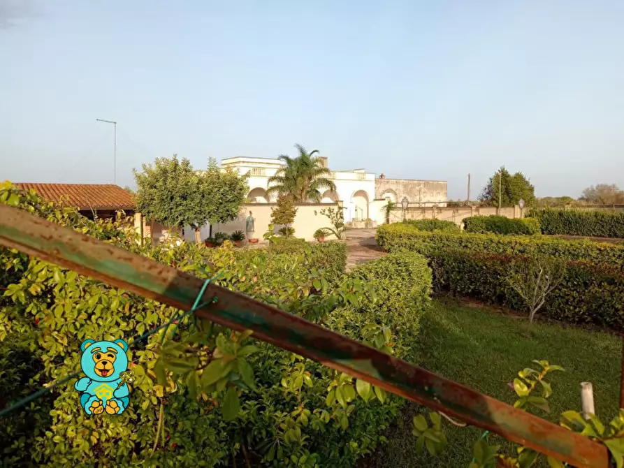 Immagine 62 di Villa in vendita  in strada comunale raho a Novoli