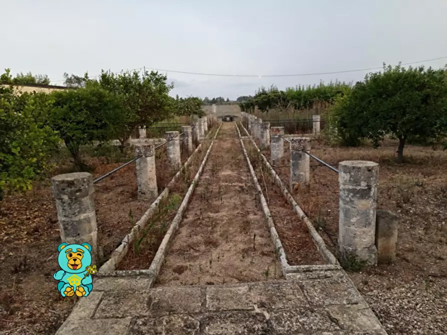 Immagine 63 di Villa in vendita  in strada comunale raho a Novoli