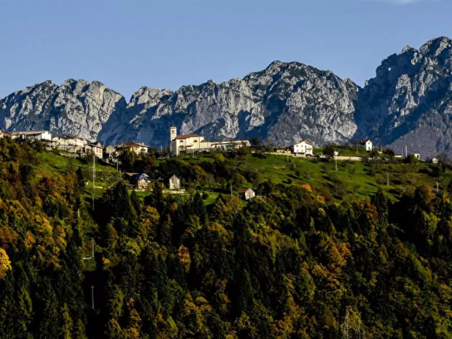 Immagine 1 di Appartamento in vendita  a Arta Terme