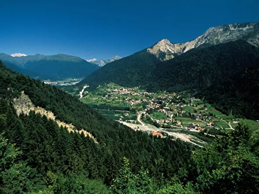 Immagine 13 di Appartamento in vendita  a Arta Terme