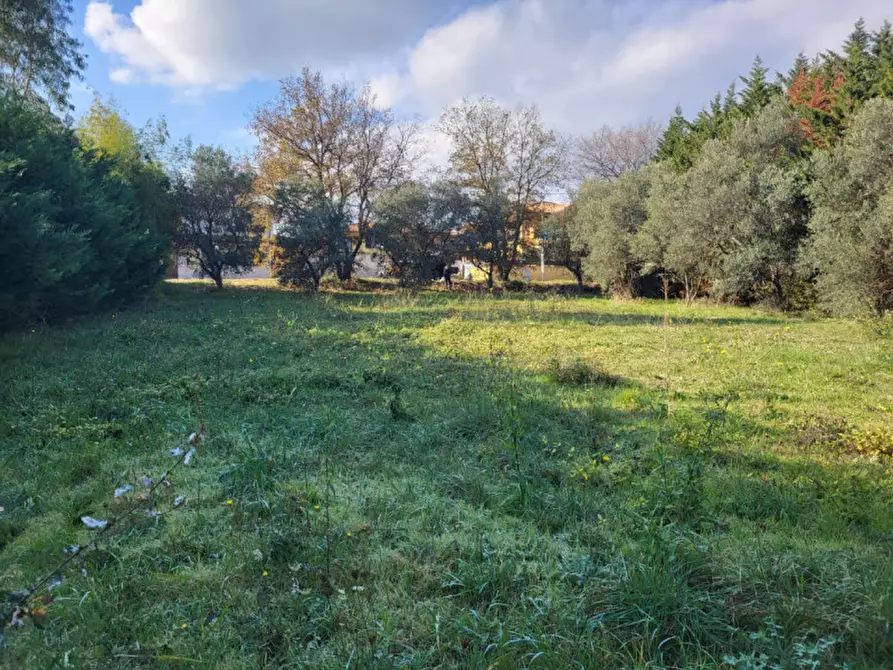 Immagine 4 di Terreno in vendita  a Rosciano