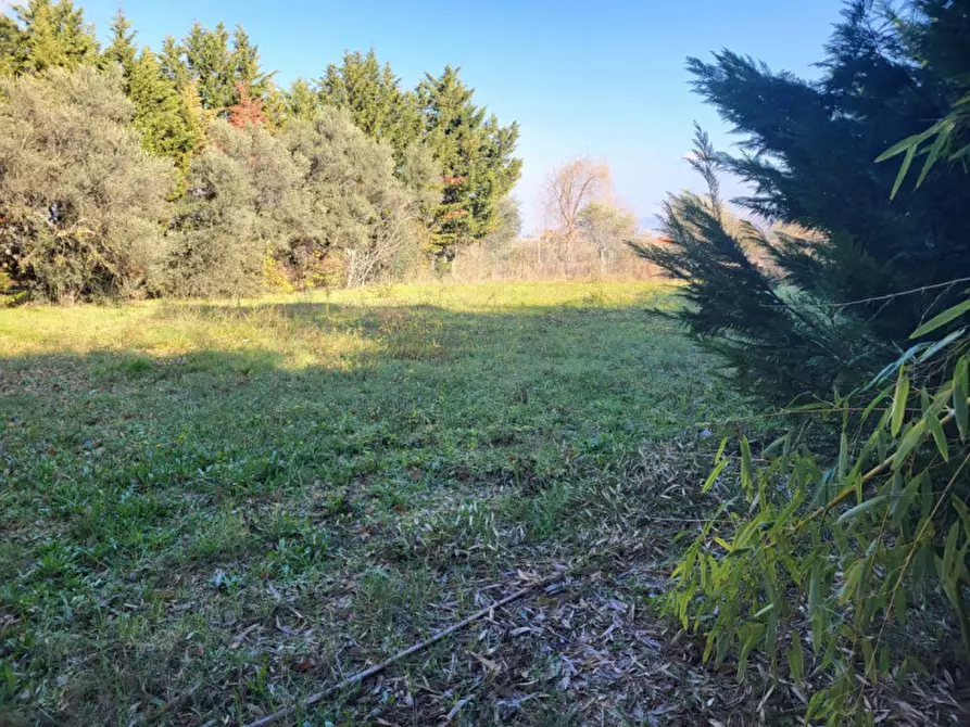 Immagine 8 di Terreno in vendita  a Rosciano