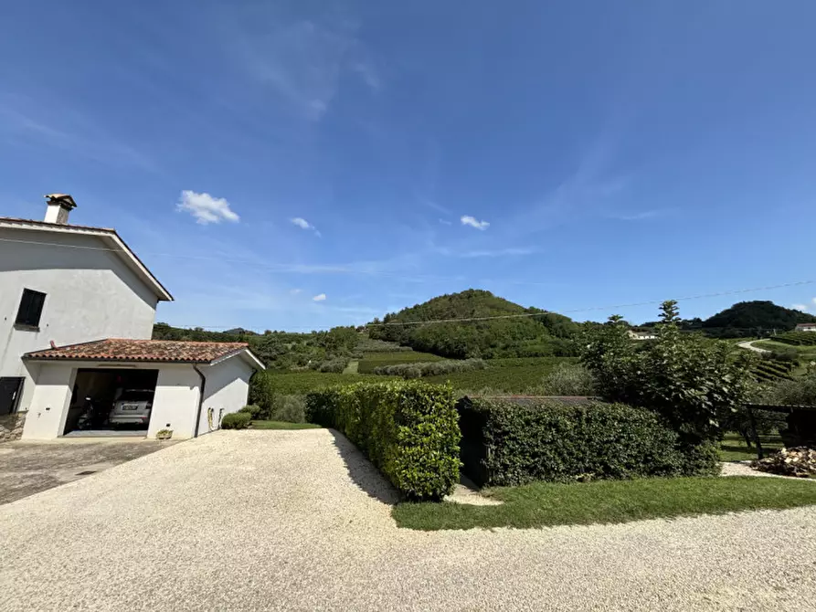 Immagine 5 di Rustico / casale in vendita  in VIA MONTE VENDA a Vo