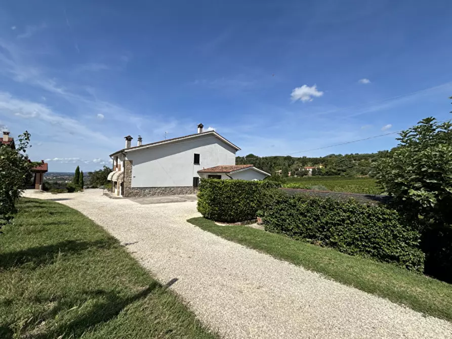 Immagine 6 di Rustico / casale in vendita  in VIA MONTE VENDA a Vo