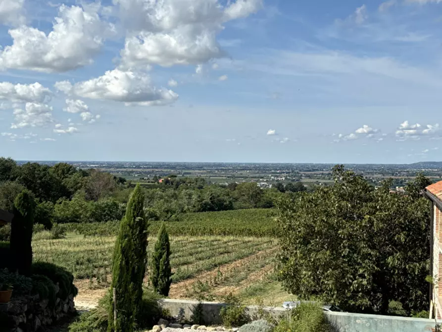 Immagine 15 di Rustico / casale in vendita  in VIA MONTE VENDA a Vo