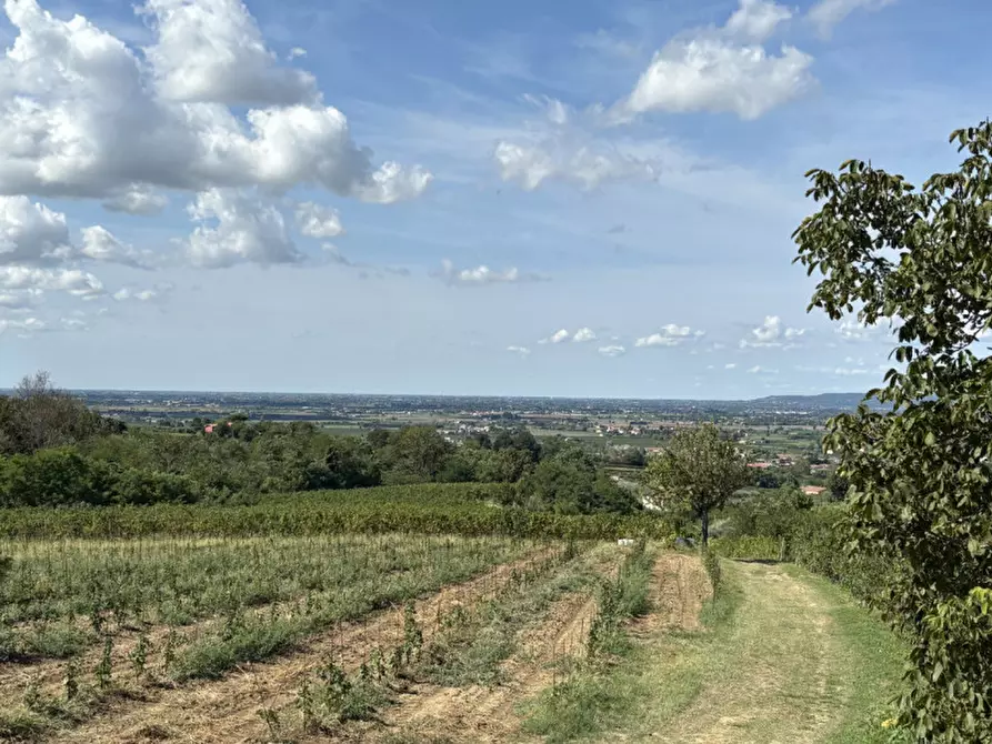 Immagine 16 di Rustico / casale in vendita  in VIA MONTE VENDA a Vo