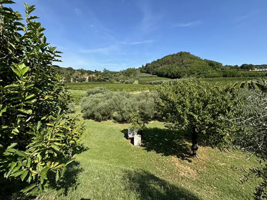 Immagine 17 di Rustico / casale in vendita  in VIA MONTE VENDA a Vo