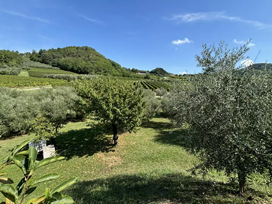 Immagine 18 di Rustico / casale in vendita  in VIA MONTE VENDA a Vo