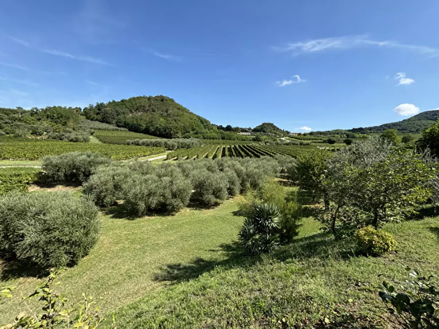 Immagine 19 di Rustico / casale in vendita  in VIA MONTE VENDA a Vo