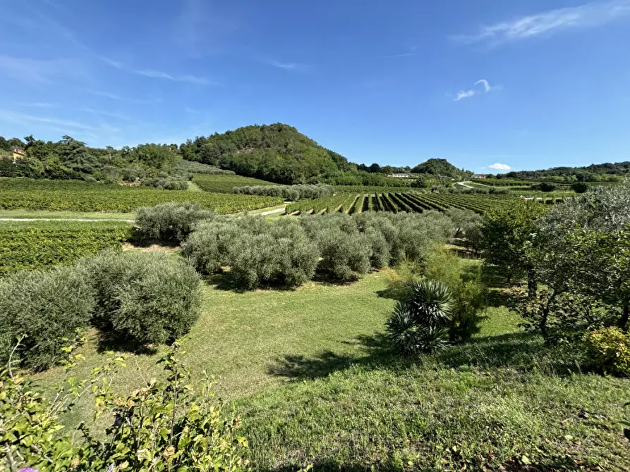 Immagine 20 di Rustico / casale in vendita  in VIA MONTE VENDA a Vo