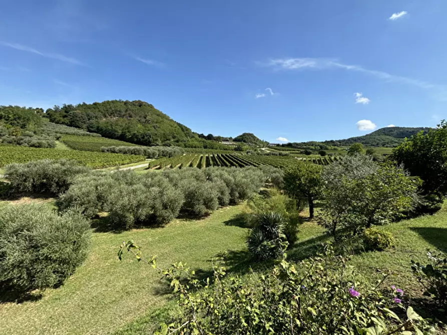 Immagine 21 di Rustico / casale in vendita  in VIA MONTE VENDA a Vo