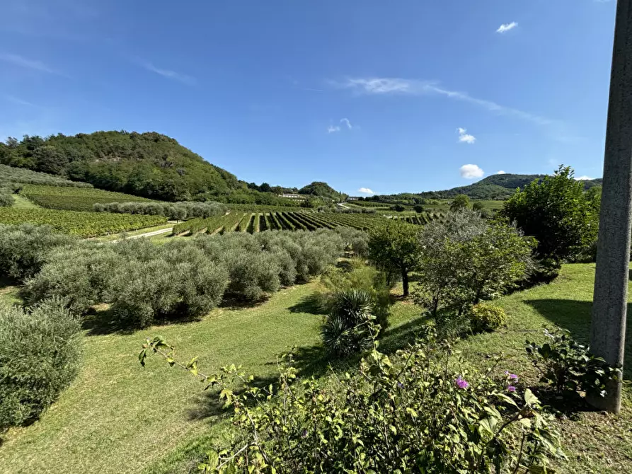 Immagine 22 di Rustico / casale in vendita  in VIA MONTE VENDA a Vo