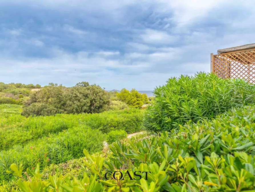 Immagine 31 di Appartamento in vendita  in Loc. Portisco a Olbia