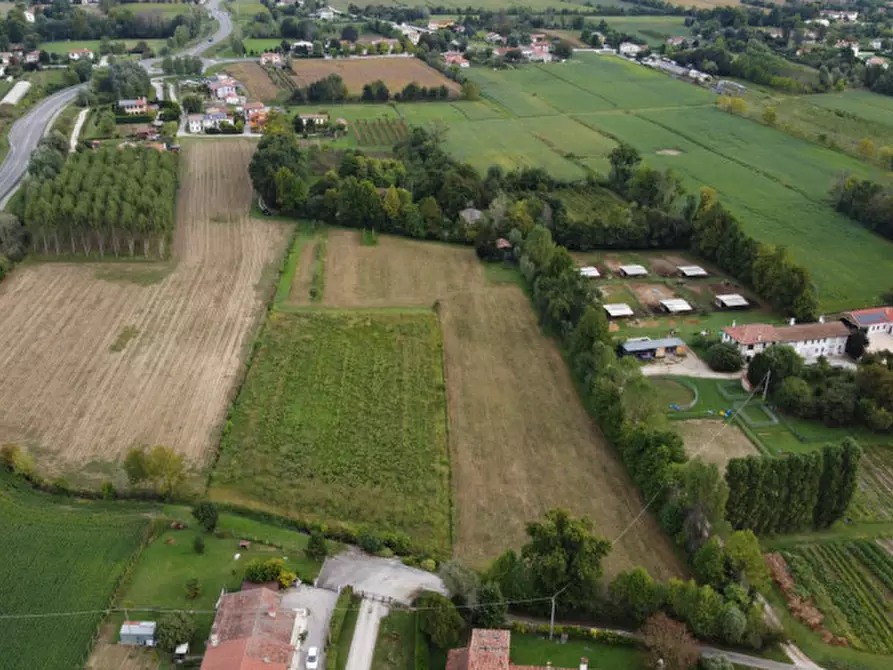 Immagine 3 di Terreno in vendita  in Via Morosini a Martellago