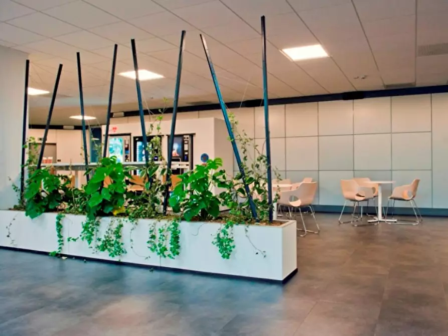 Immagine 4 di Ufficio in affitto  in VIA CANTU' CESARE a Cinisello Balsamo