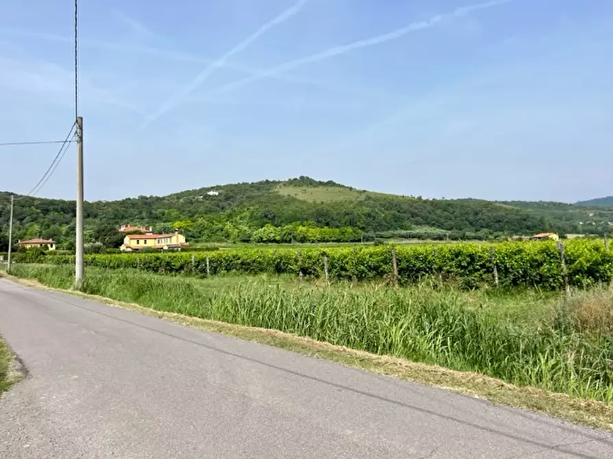 Immagine 14 di Casa indipendente in vendita  a Arqua' Petrarca