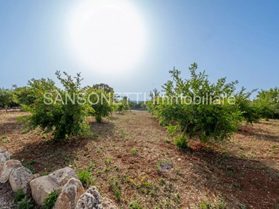 Immagine 31 di Rustico / casale in vendita  in MAMAPO a Cisternino