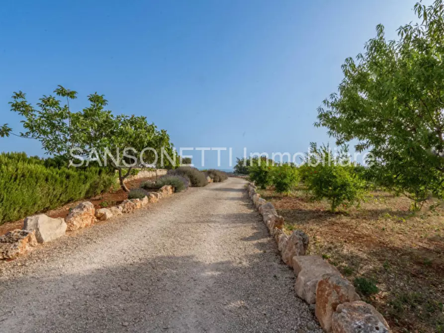 Immagine 32 di Rustico / casale in vendita  in MAMAPO a Cisternino