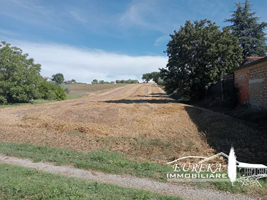 Immagine 1 di Terreno in vendita  in Via Santa Maria a Castiglione Del Lago